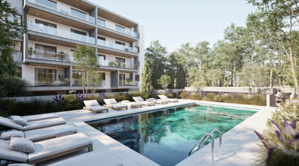 section catalog photo