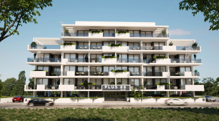 section catalog photo