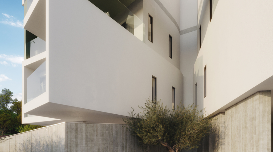 section catalog photo