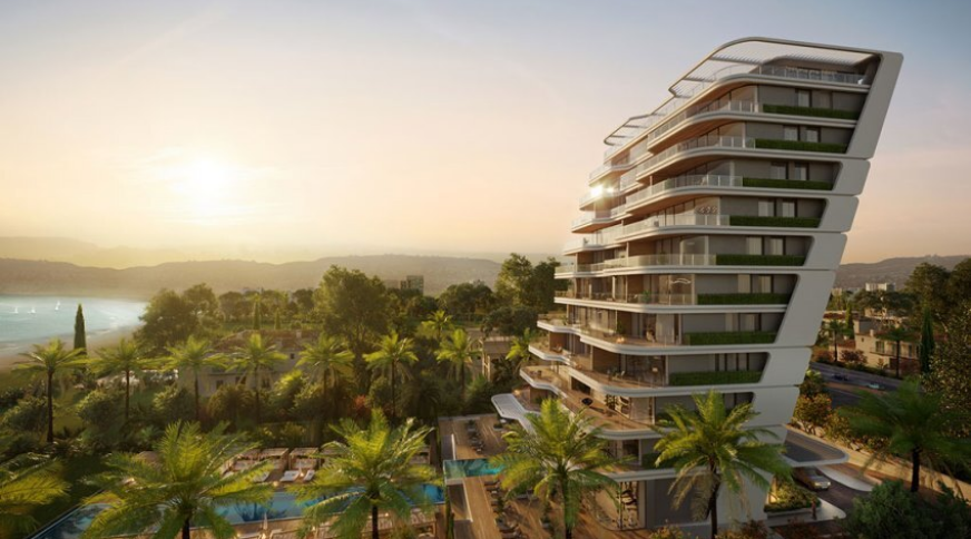 section catalog photo