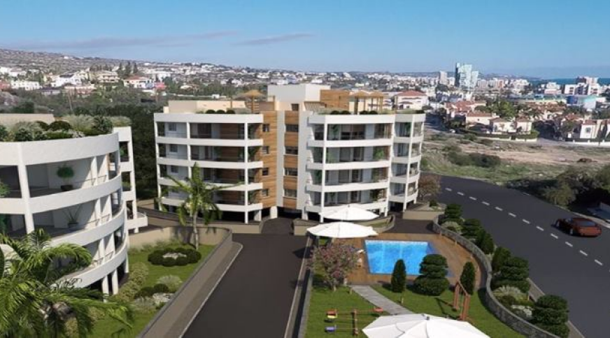 section catalog photo