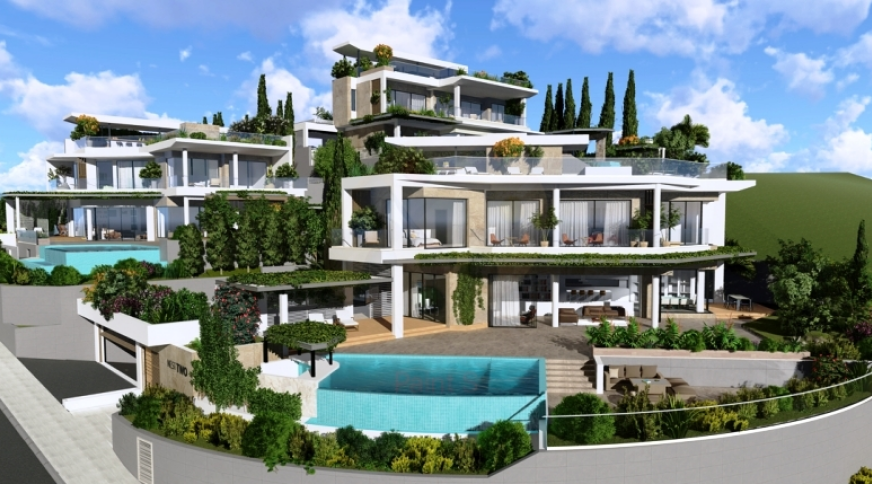 section catalog photo