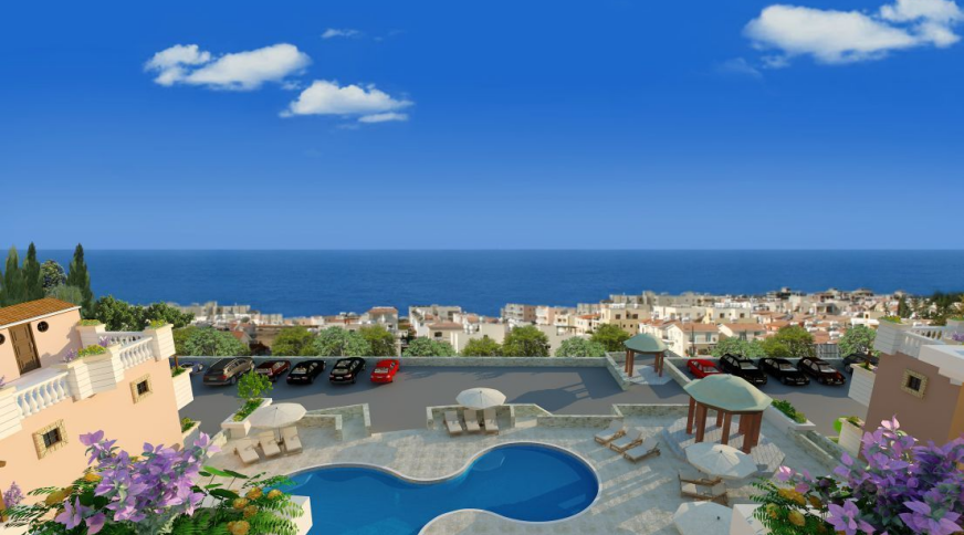 section catalog photo