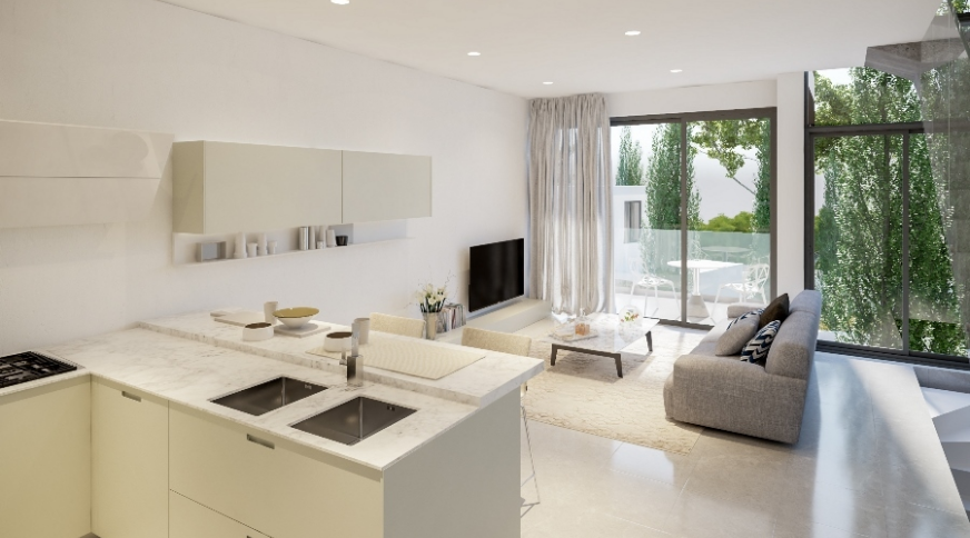 section catalog photo