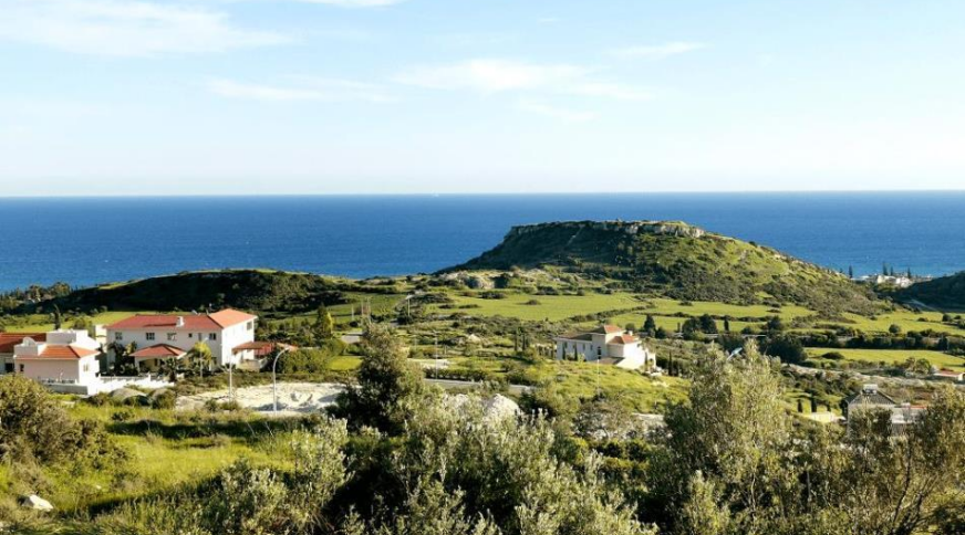 section catalog photo