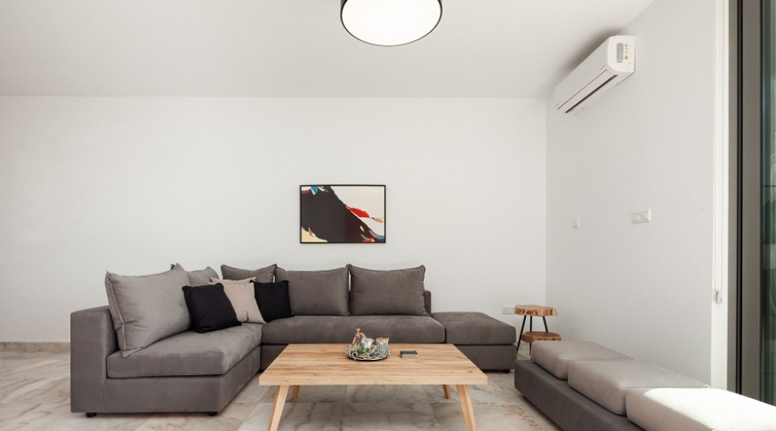 section catalog photo