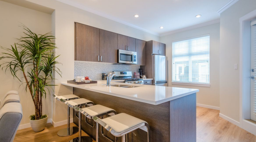 section catalog photo