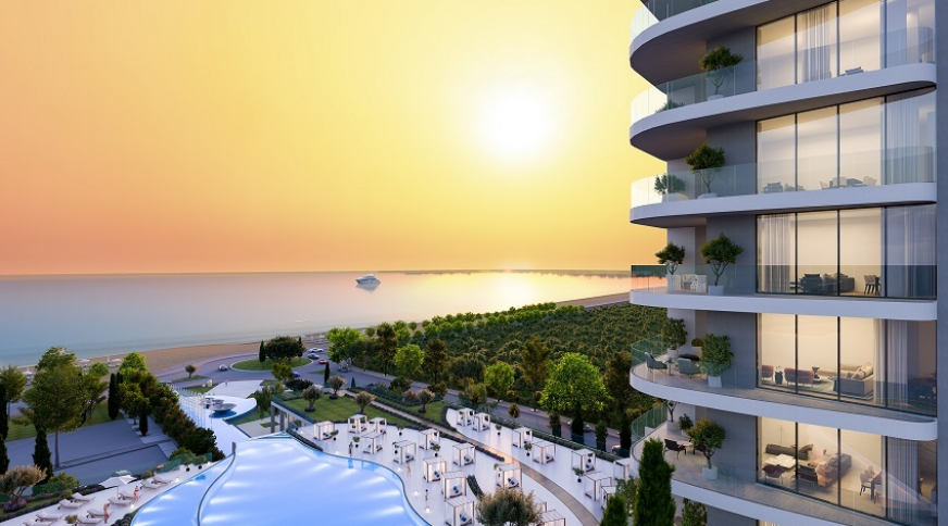 section catalog photo