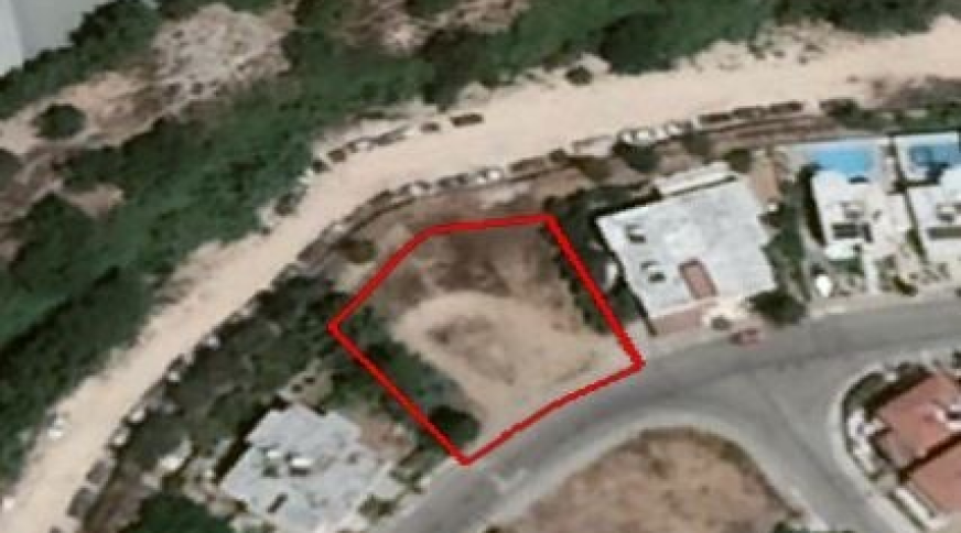 section catalog photo