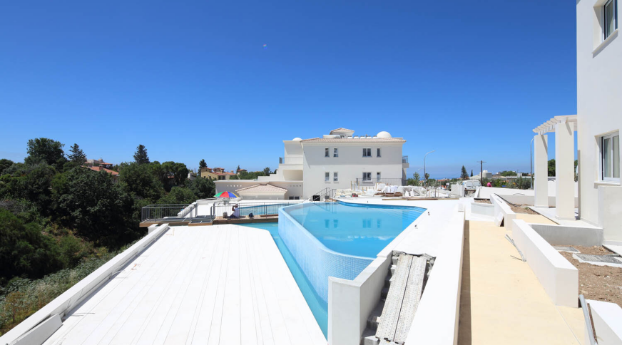 section catalog photo