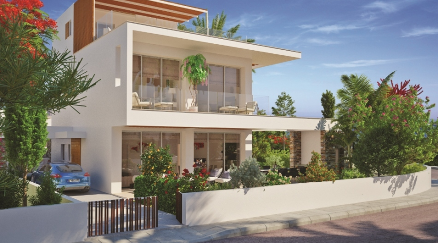 section catalog photo