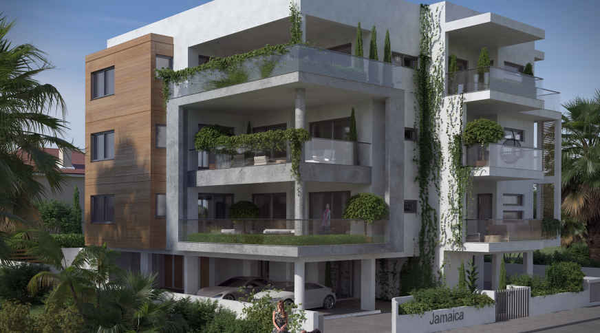 section catalog photo