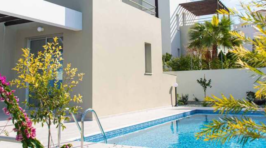 section catalog photo