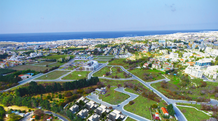 section catalog photo