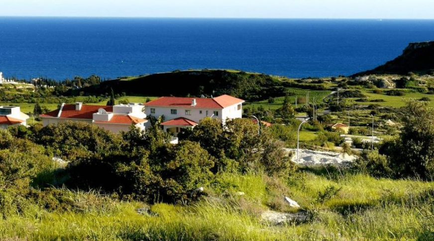 section catalog photo