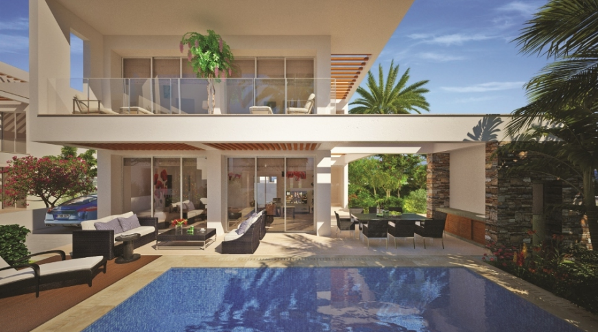 section catalog photo