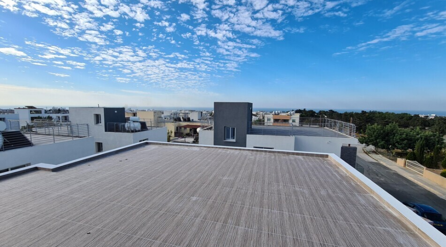 section catalog photo