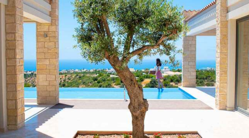 section catalog photo