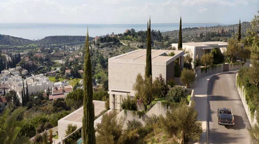 section catalog photo