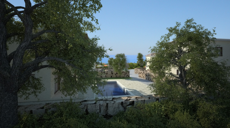 section catalog photo