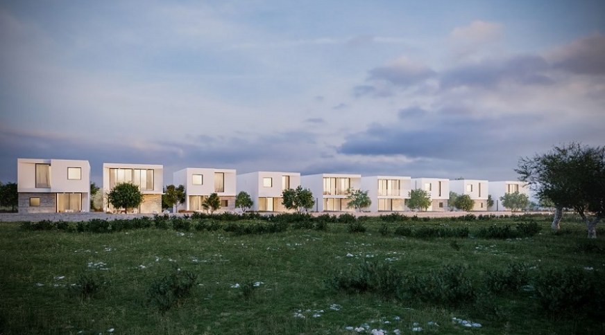 section catalog photo