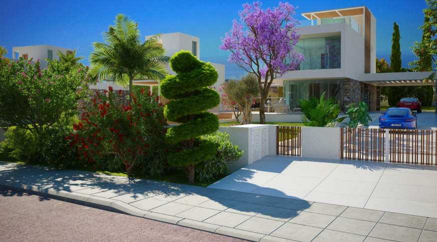 section catalog photo