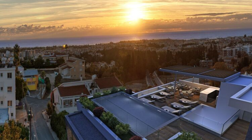 section catalog photo