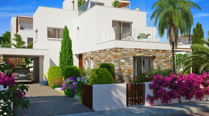 section catalog photo