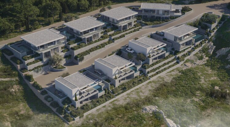 section catalog photo