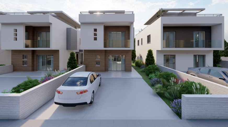 section catalog photo