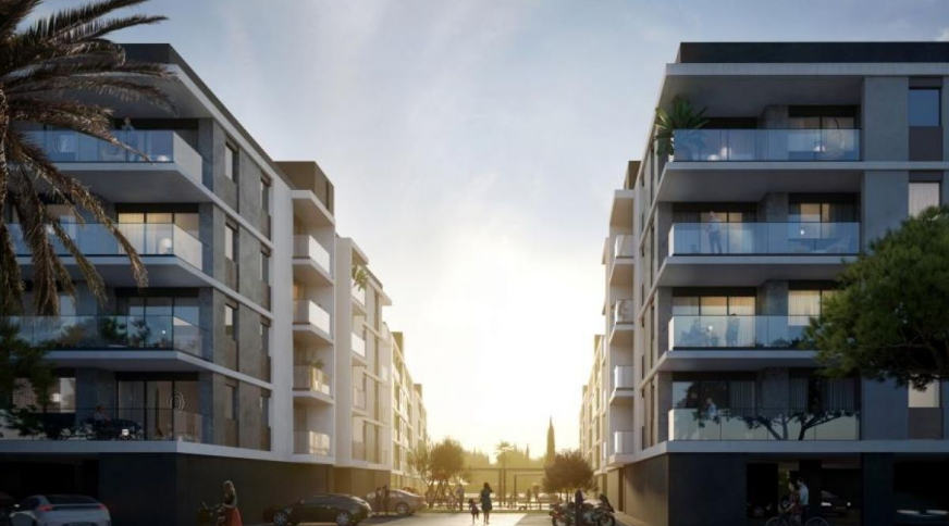 section catalog photo