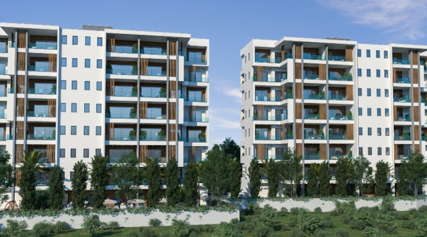 section catalog photo