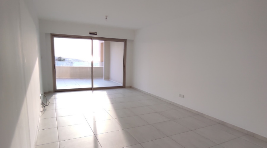 section catalog photo