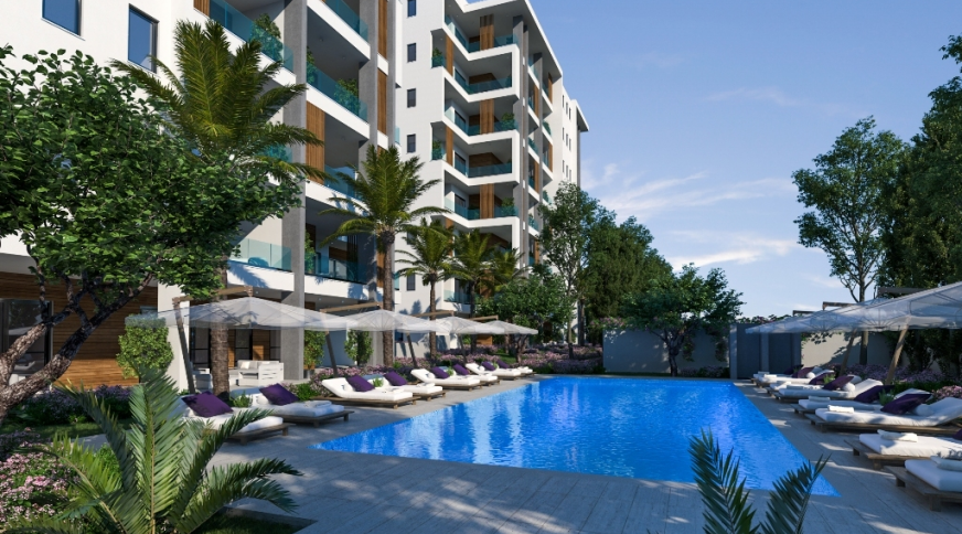 section catalog photo