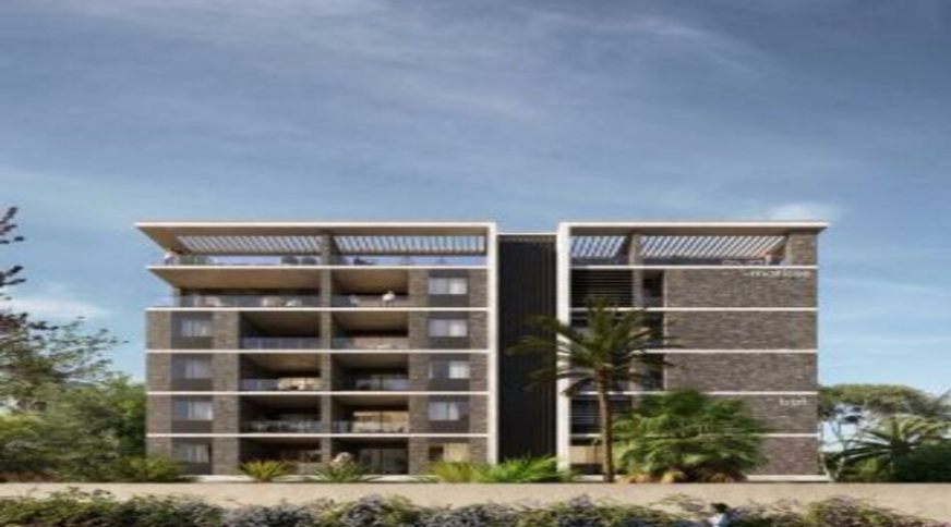 section catalog photo