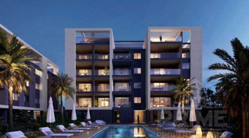 section catalog photo