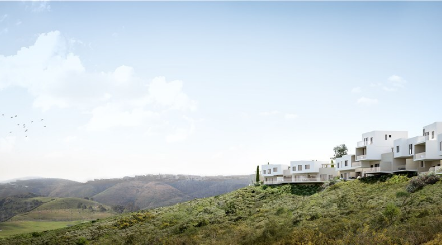 section catalog photo