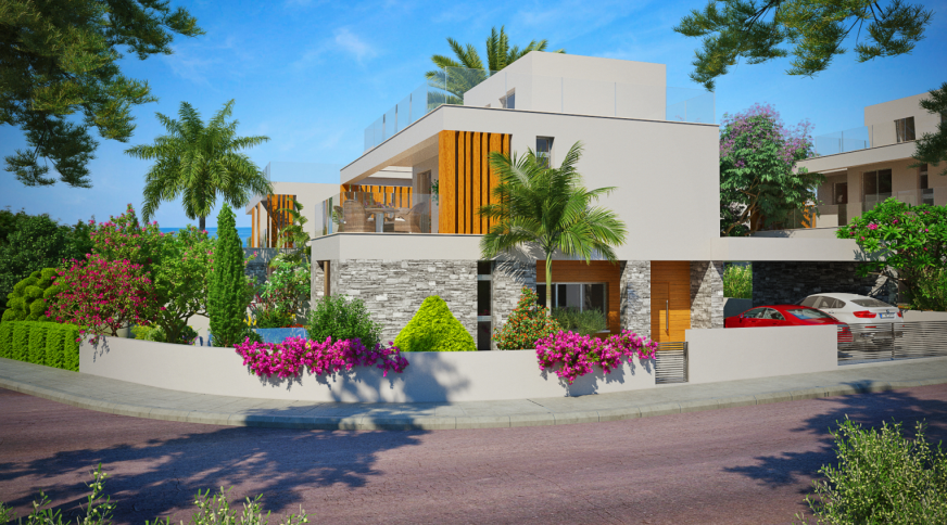 section catalog photo