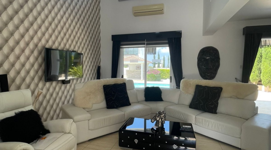 section catalog photo