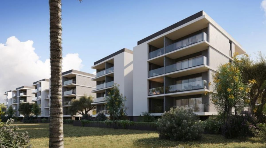 section catalog photo