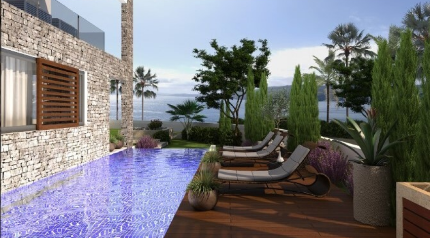 section catalog photo