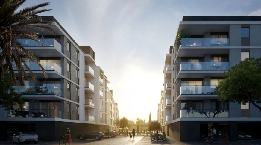 section catalog photo