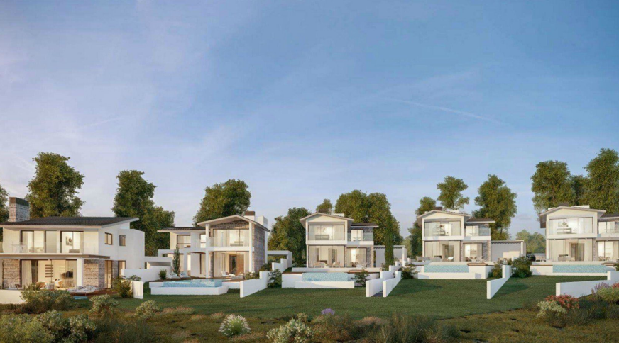 section catalog photo