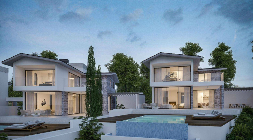 section catalog photo