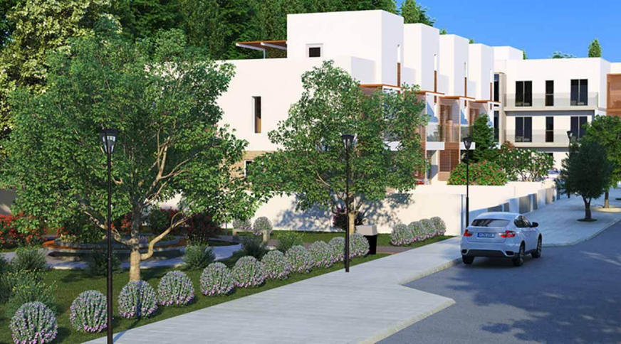 section catalog photo