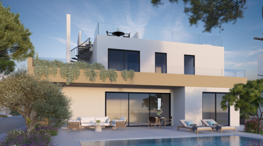 section catalog photo