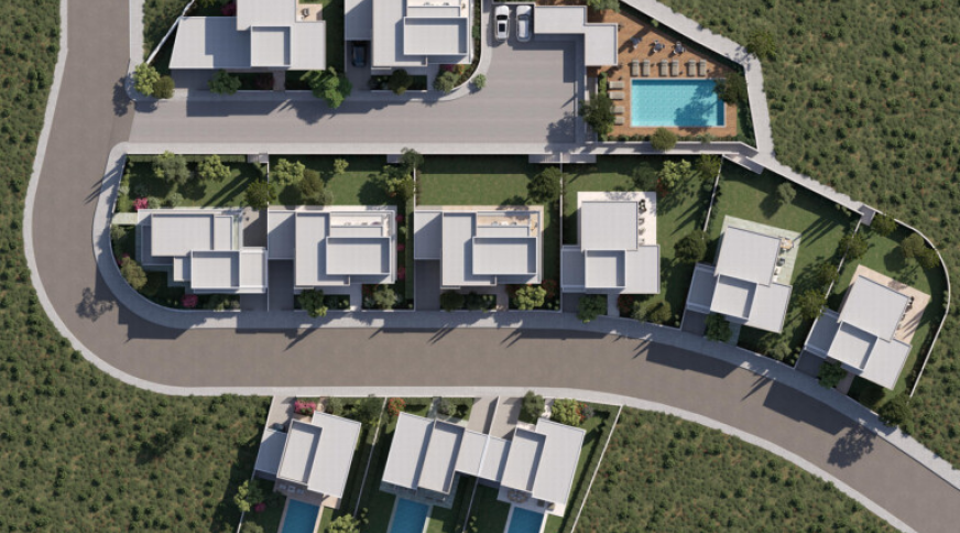 section catalog photo