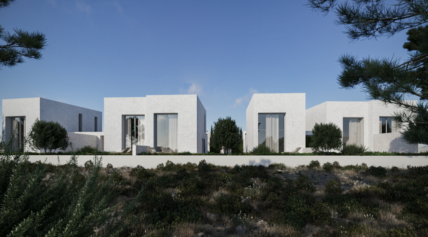 section catalog photo