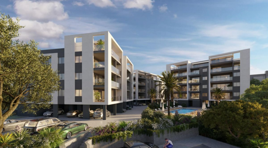 section catalog photo