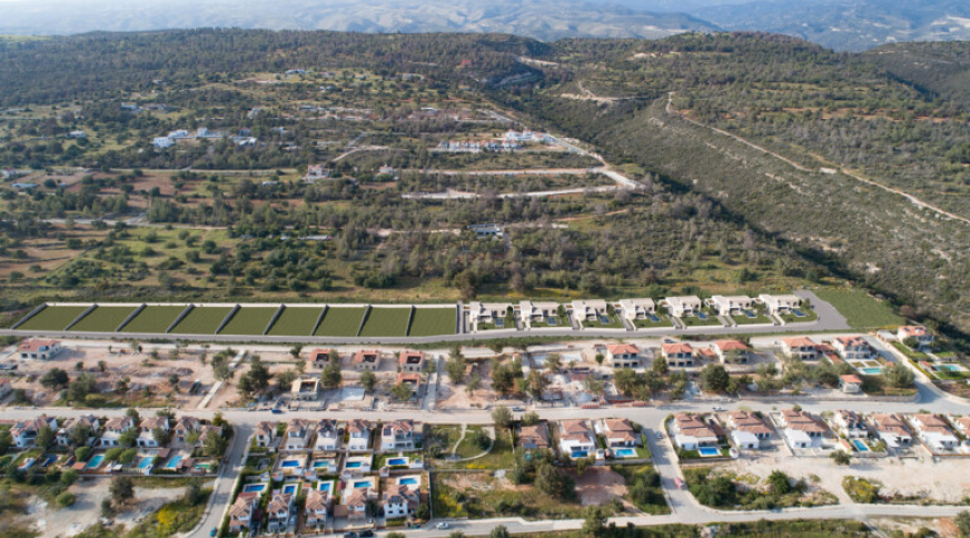 section catalog photo